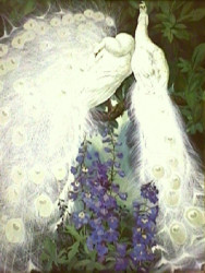 White Peacocks and Delphiniums by Jessie Arms Botke