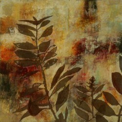 Nature's Shadows I by Jane Bellows