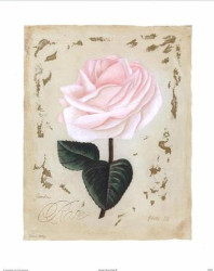 Garden Rose Plate IV by Danielle Hely