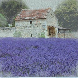 Tuscan Lavender by Bret Staehling