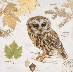 Northern Owl by Chad Barrett