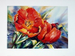 Red Tulips  by Hanneke Floor