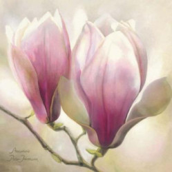 Magnolia Nigra by Annemarie Jaumann