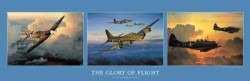 The Glory of Flight by William S Phillips