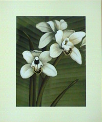 Orchid with Palm I by Andrea Trivelli