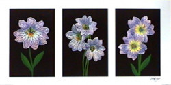Triptych Purple Lilly by Andrew Patsalou