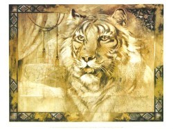 Tiger by Annrika McCavitt
