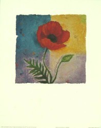Poppy of Colour by Julia Hawkins