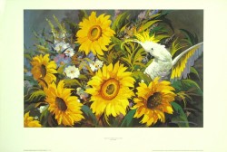 Sunflowers with Yellow Crested Cockatoo
