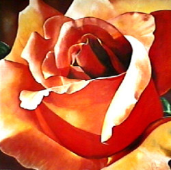 Scent Of A Rose by Karen Foley