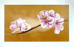 Cherry Blossom by Karen Foley