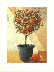 Orangetree by Karsten Kirchner