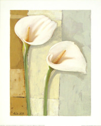 Two White Callas by Marita Stock