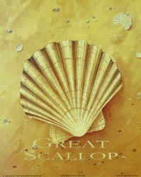 Great Scallop by Martin Wiscombe