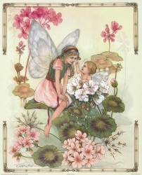 The Geranium Fairy by Joy Scherger