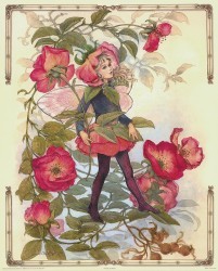 The Rose Fairy by Joy Scherger