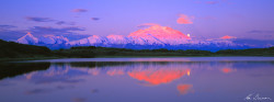 MLKD028-Sunrise-Denali-National-Park-Alaska-USA-Ken-Duncan by Ken Duncan