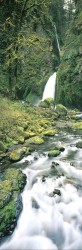 Wahclella Falls by Ken Duncan