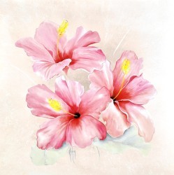 Light of Day Hibiscus by Karen Foley