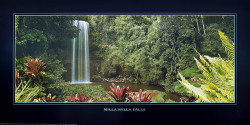 Milla Milla Falls by Cebo