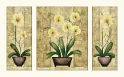 Flowers Triptych B by Urpina