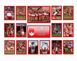 Sydney Swans 2012 Premiers Limited Edition of 500
