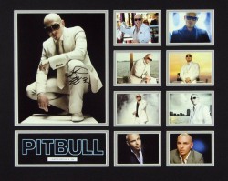 Pitbull Limited Edition #1 of 500