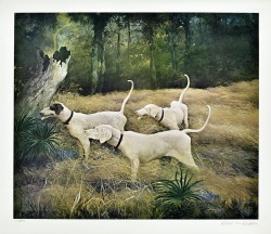 Hunting Dogs by Robert M Rucker