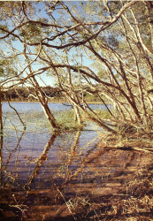 Lake Benaroon, Fraser Island by Leigh & Barbara Hemmings