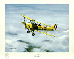 De Havilland Tiger Moth by Colin Parker