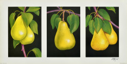 Triptych, Pears by Andrew Patsalou