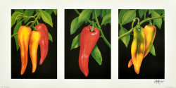Triptych, Chilies by Andrew Patsalou