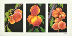 Triptych, Peaches by Andrew Patsalou