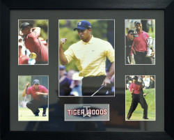 Tiger Woods (5 opening)