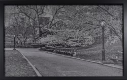 Central Park in Early Spring by John Anderson