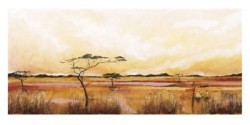 Bhundu Landscape IV  by Emilie Gerard