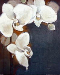 Orchid Whites