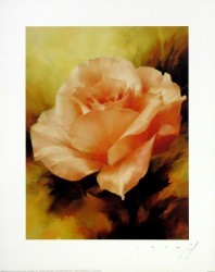Pink Rose by Igor Levashov