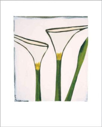 Arum by Nicolas Le Beuan Benic