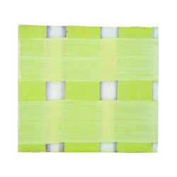 Untitled 2005 by Sybille Hassinger