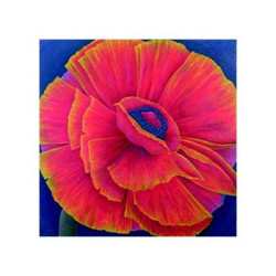 Big Poppy by Ruth Addinall