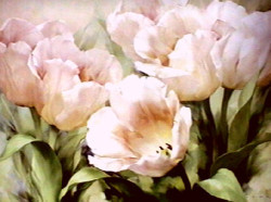 Pink Tulips by Igor Levashov