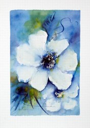 White & Blue by Jan Kooistra