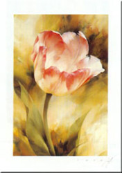 Red-White Tulip by Igor Levashov