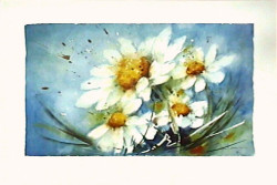 Daisies by Jan Kooistra