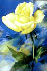 Fragility by Igor Levashov