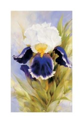 Iris by Igor Levashov