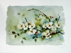 Apple Blossom by Jan Kooistra