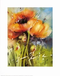 Poppies by Jan Kooistra