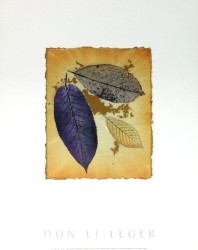 Leaf Lines I by Don Li-Leger
